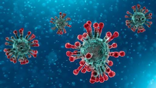 Coronavirus - Istituto Superiore Sanità - INDICAZIONI ad interim per la prevenzione e il controllo dell'infezione da SARS-COV-2 in strutture residenziali socio-sanitarie